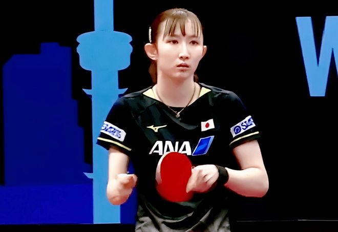 在武夷山国 在武夷山国