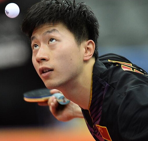 奇和穆雷之 奇和穆雷之