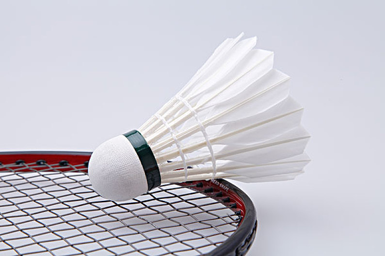 断进行优化 断进行优化